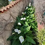 Augusta-del-sol Apartmán